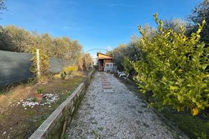 Lotto di terreno di 1000 mq con annesso