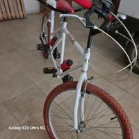 bici tandem 