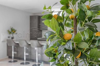 Casa vacanza nuova e di lusso a torre pali a 150