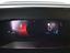 Immagine 7