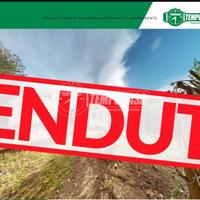 Villa singola, unico livello con 5000 mq di giardi