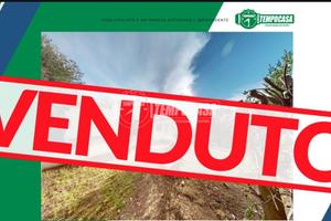 Villa singola, unico livello con 5000 mq di giardi