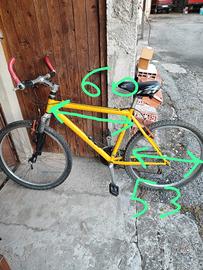bicicletta arrampichino 