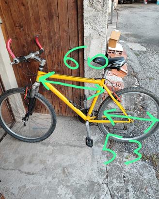 bicicletta arrampichino 