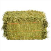 Fieno di erba medica in ballette