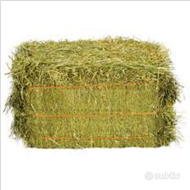 Fieno di erba medica in ballette