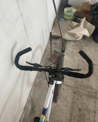 Bicicletta