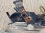 Immagine 29