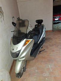 Vendita majestic 250