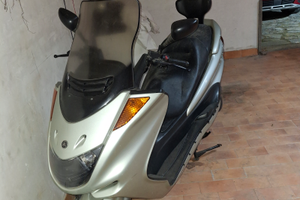 Vendita majestic 250