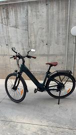 Bicicletta FIIDO C11 PRO