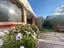 Immagine 26