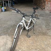bicicletta da ragazza