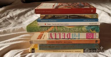 Lotto 11 libri classici e narrativa