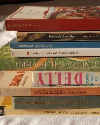 Lotto 11 libri classici e narrativa