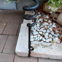 CODA DI PORCO GRAPPA WW1