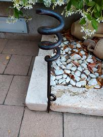 CODA DI PORCO GRAPPA WW1