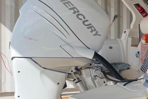 Mercury Verado 250cv