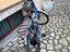 Immagine 2