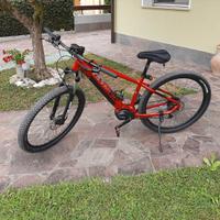 Mountain Bike elettrica