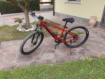 Mountain Bike elettrica