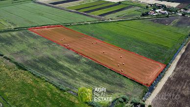 Terreno agricolo di 1 ettaro pianeggiante