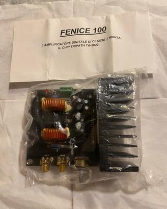 Amplificatore Fenice 100 Tripath Clssse D
