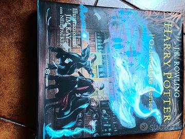 Harry Potter e l'ordine della fenice illustratoKay