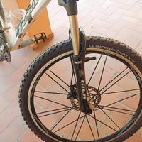 ebike 