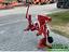 Immagine 8