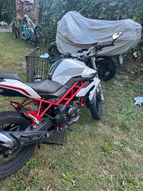 Benelli bn 125 2018
