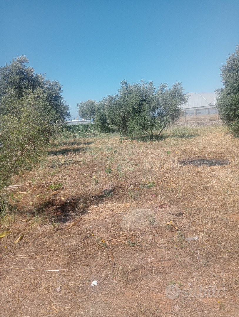 Terreno agricolo Sperlonga (lago lungo) - Vista 4