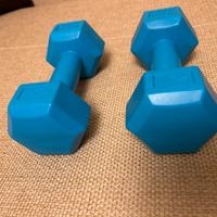 Coppia di  pesi palestra da 1kg