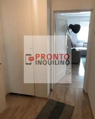 Bilocale ampio Vimodrone