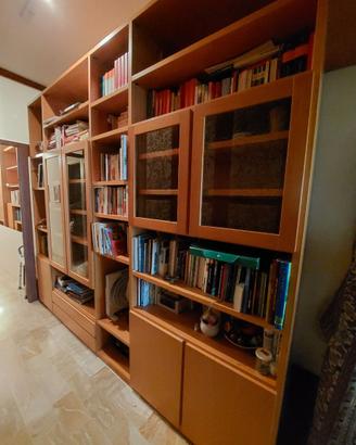 Libreria con vetrinette