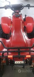 quad polaris 500