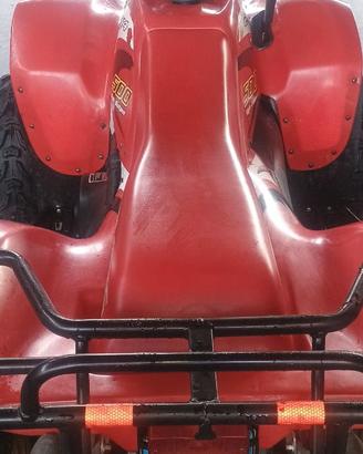 quad polaris 500