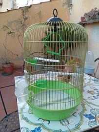 Gabbia voliera.