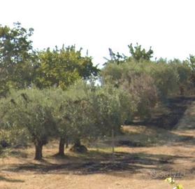 Terreno panoramico