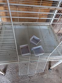 gabbia x pappagallo  