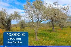 Terreno agricolo vendita - mq.2280