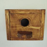 Casetta per uccelli