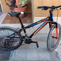 bici ragazzo 11-14 anni