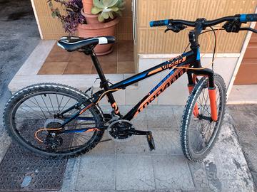 bici ragazzo 11-14 anni