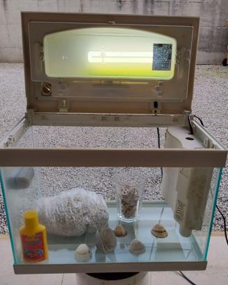 Acquario usato in vetro 25 litri
