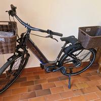 Bicicletta elettrica da donna
