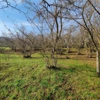 Terreno di mq 2100 Bellizzi Irpino