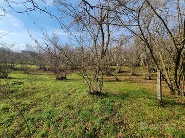 Terreno di mq 2100 Bellizzi Irpino