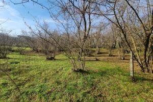 Terreno di mq 2100 Bellizzi Irpino