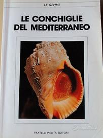 LE CONCHIGLIE DEL MEDITERRANEO